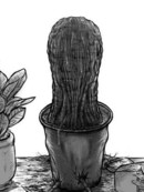 人头盆栽