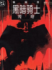 蝙蝠侠：暗中骑士传奇
