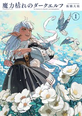 魔力干涸的暗精灵